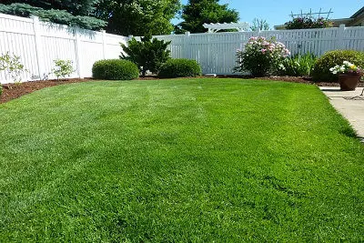 Grass mowed in yard at Maungatapu; Welcome bay