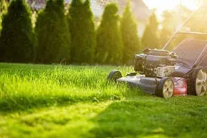 Mower cutting long grass in Tauranga NZ