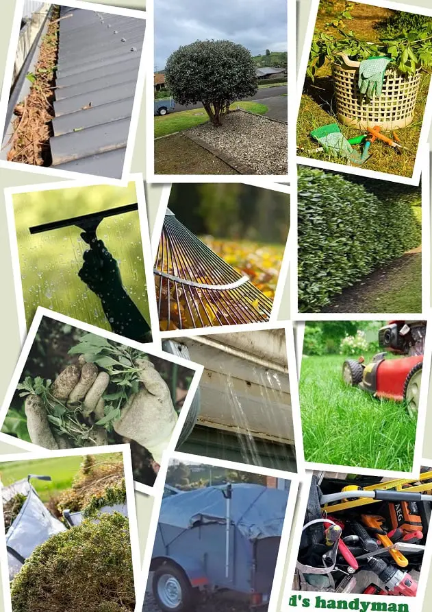 Photos of lawn care jobs in Tauranga NZ